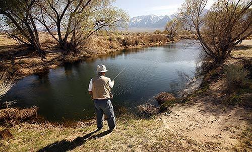 Sets Tomita, 77, fishes for trout in Shepherd Creek near the Manzanar War Relocation Center. Tomita, along with other former internees, went fishing after visiting the site where they had sneaked past guard towers to fish for rainbow trout decades ago.