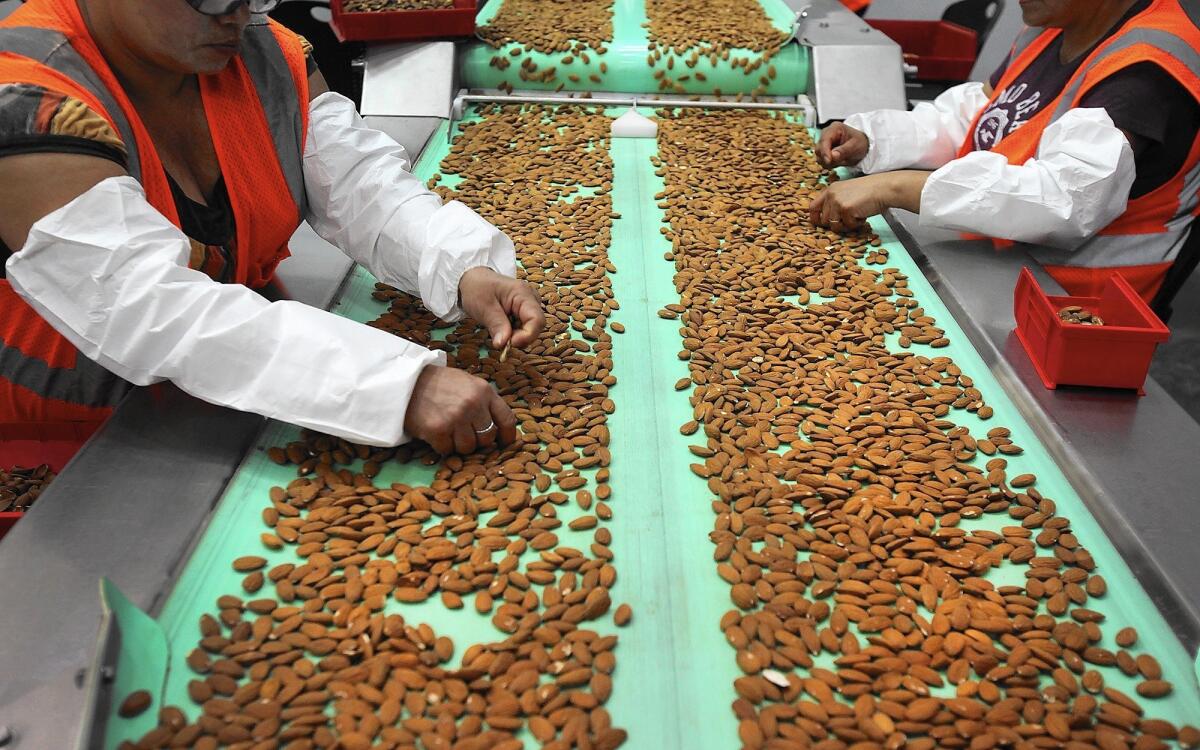 California sold $2.3 billion in agricultural products to China in 2012, with almonds, dairy products, wine, walnuts and pistachios making up the top five products, according to the California Department of Food and Agriculture. Above, workers sort almonds at a processing plant in Lost Hills, Calif.