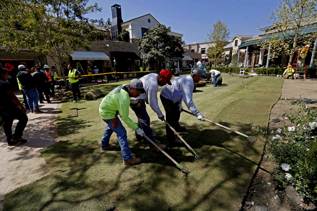 Workers use rakes on grounds at a resort.