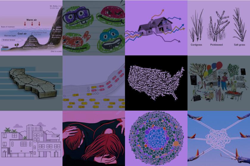 Collage of illustrations and graphics that were part of 2023 Data and Graphics stories