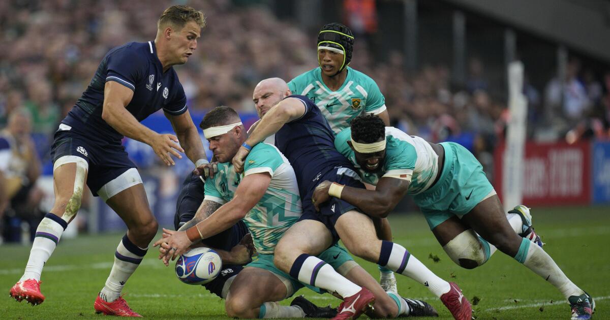Une blessure anormale met fin à la Coupe du monde de rugby pour le joueur écossais Dave Cherry