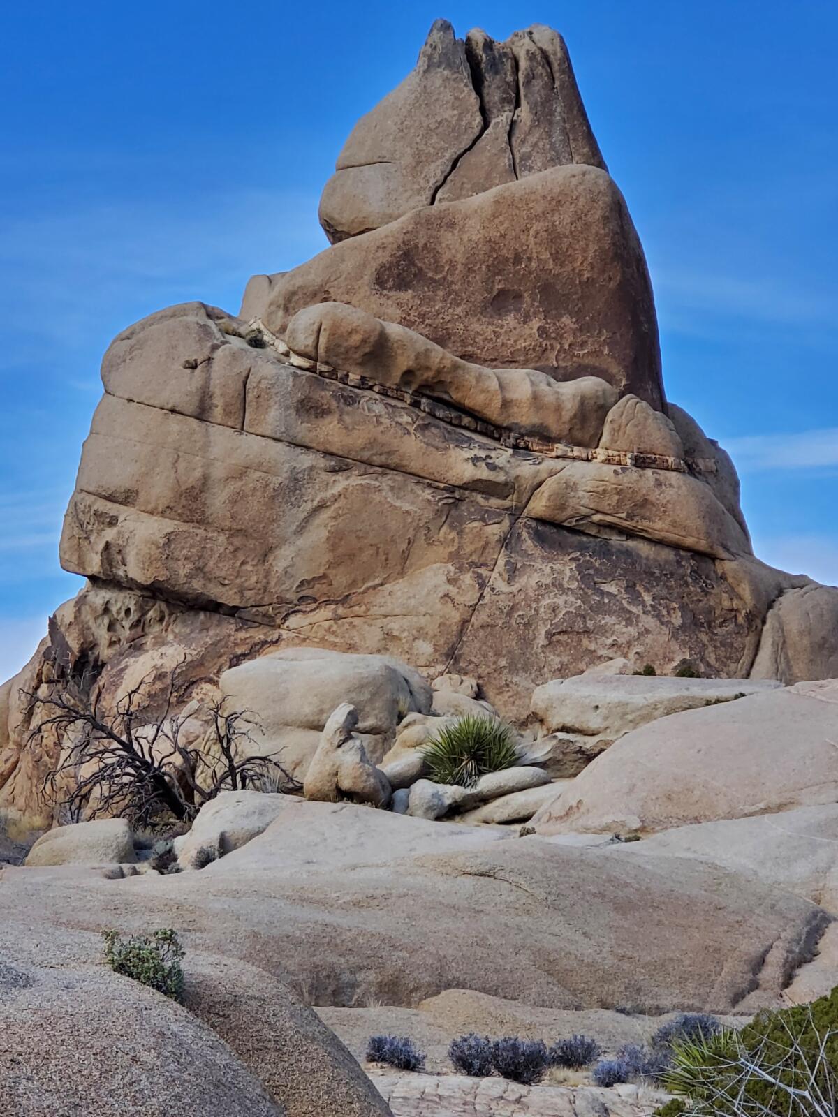 Une formation rocheuse vue depuis le sentier Split Rock à Joshua Tree.