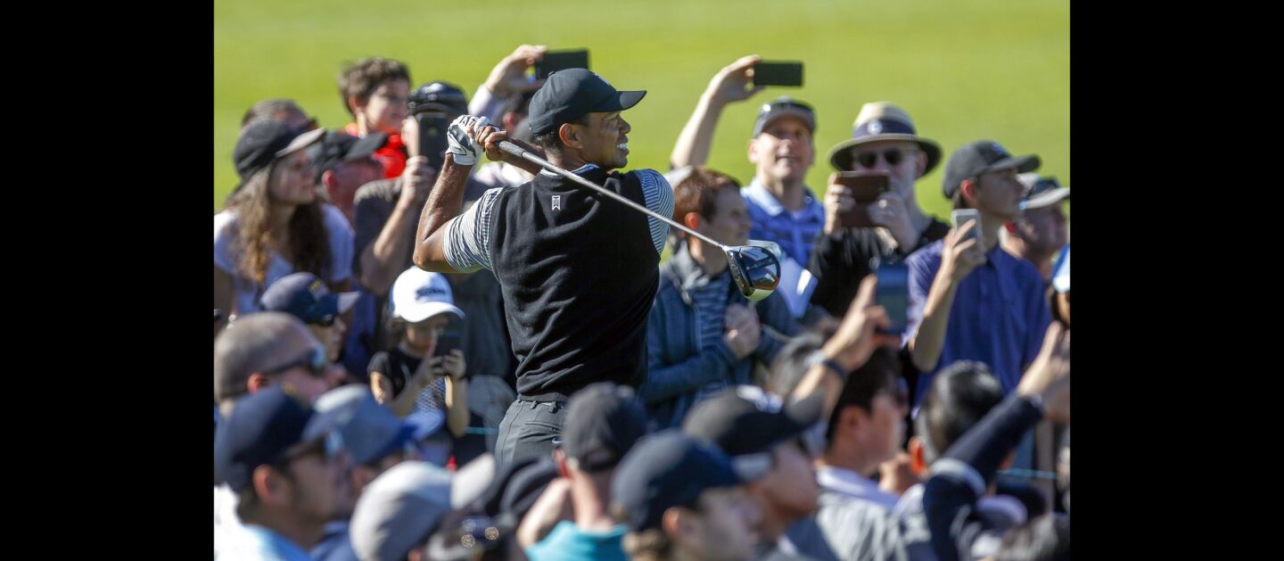 Fans watch as Tiger Woods hits from the north course's 13th tee.