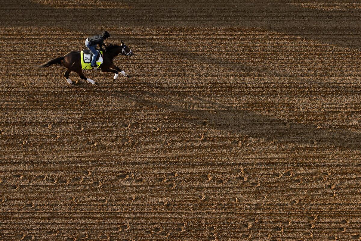 Kentucky Derby entrant Fierceness works out at Churchill Downs on Thursday.