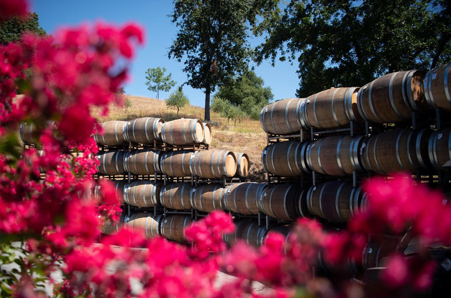 Barrels of wine are stacked at Alexander Valley Vineyards. Costco, which is opening its first store in China in Shanghai next week, bought 250 cases of Hank Wetzel’s wine. In June, while it was in transit, China imposed its latest tariff of 15%.