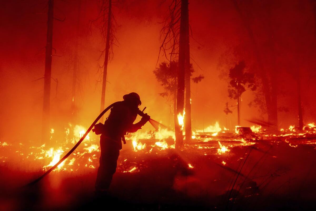 A firefighter sprays water water in a burning forest.