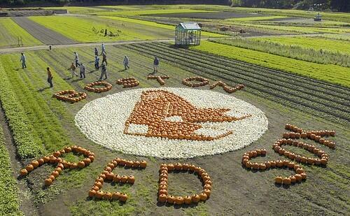 Boston Red Sox