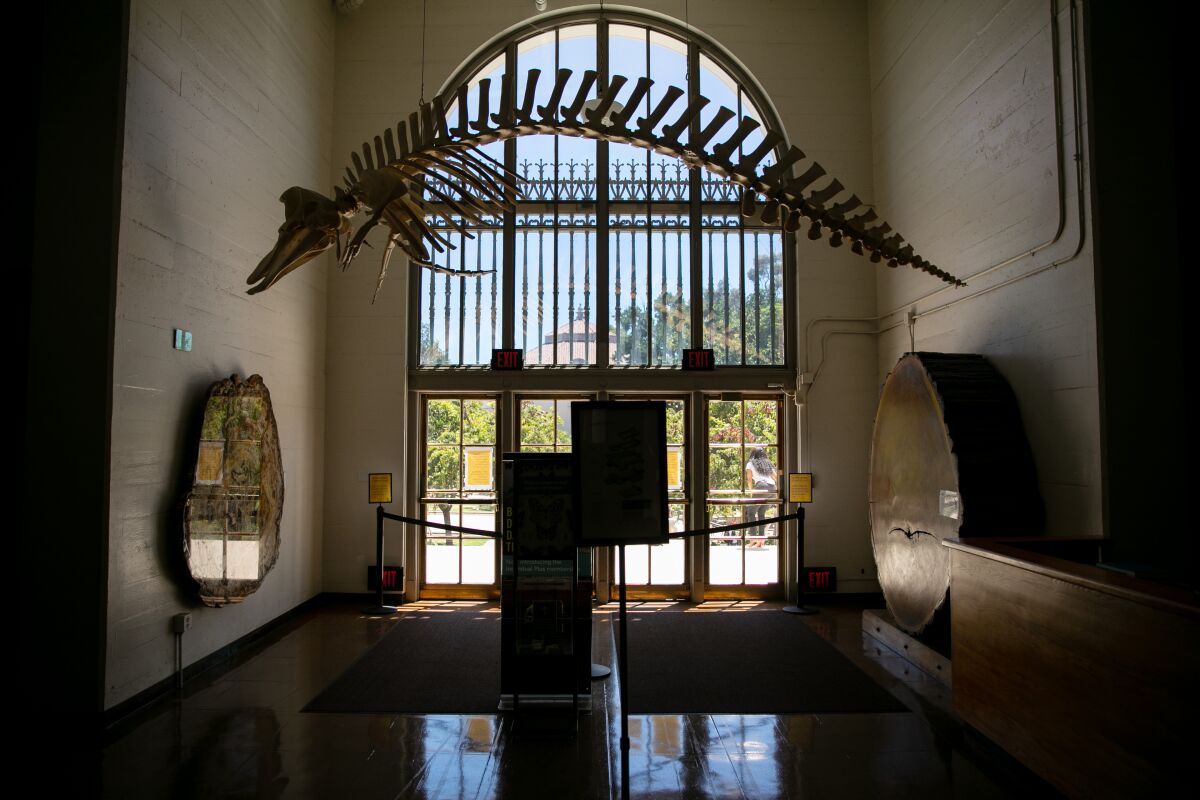 The San Diego Natural History Museum sits empty on Aug. 7.