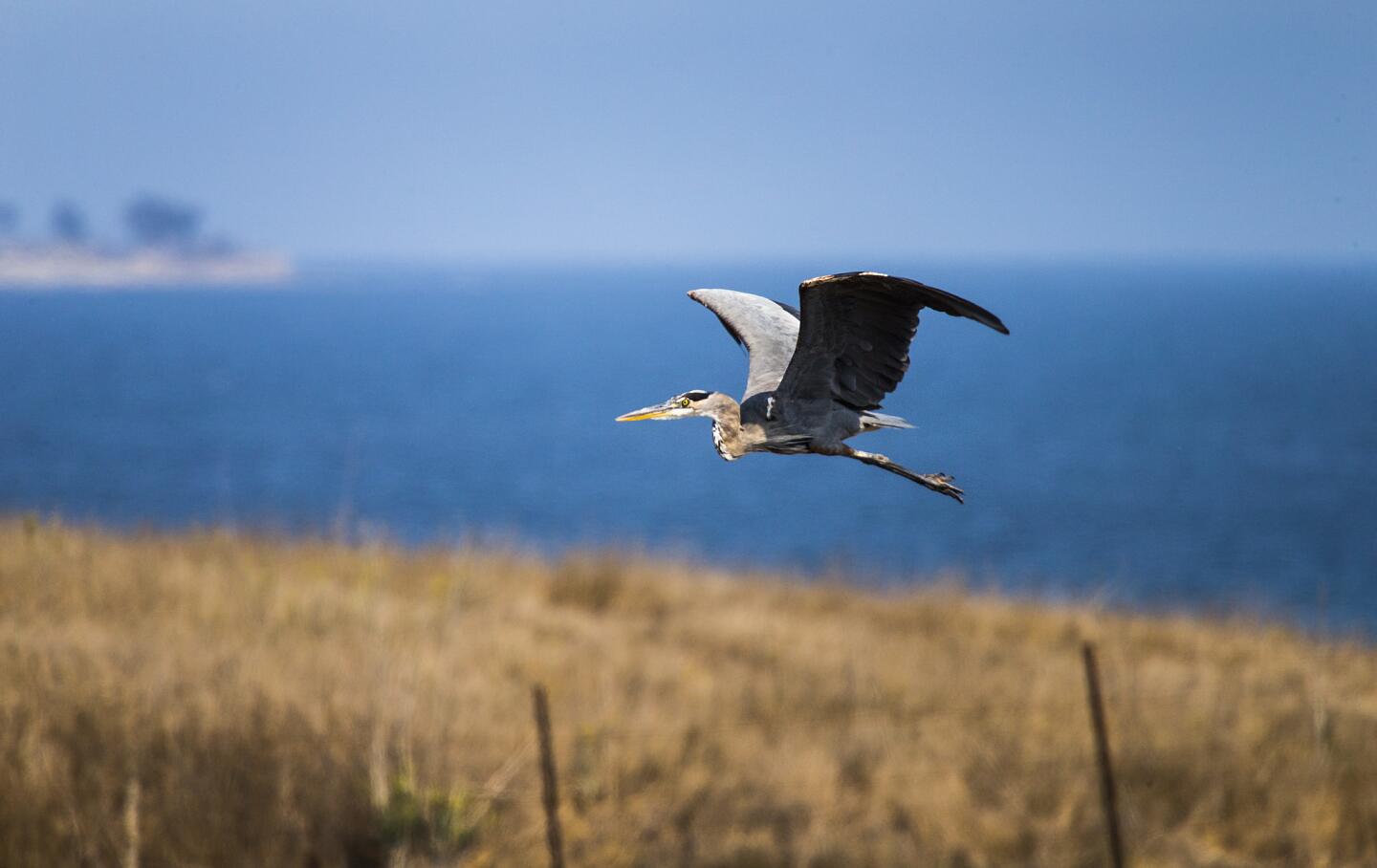 Naples State Marine Conservation Area