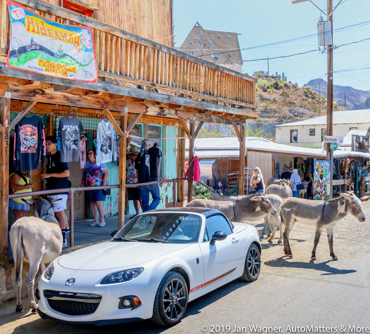 Wild burros roam the streets in Oatman