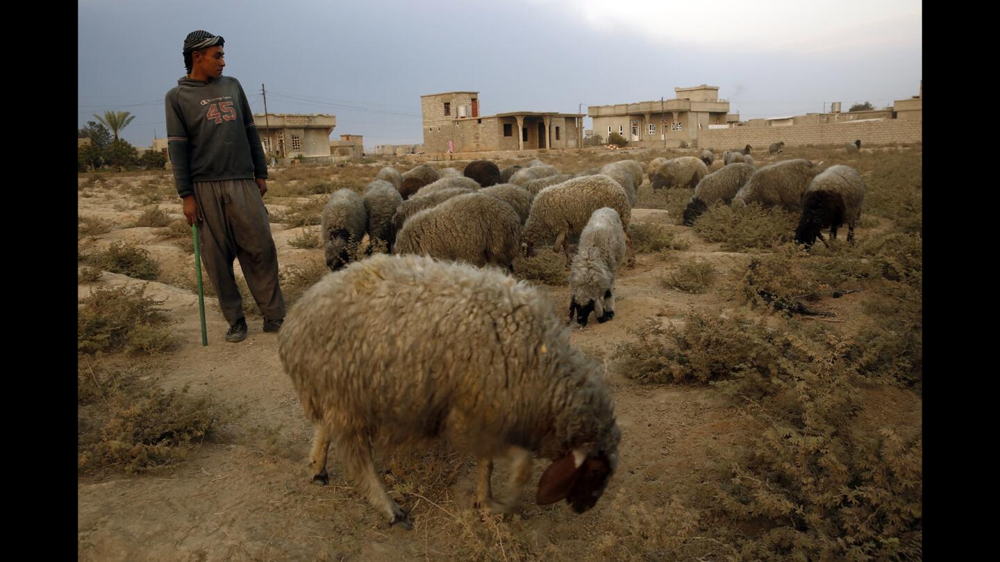 Qayyarah, Iraq