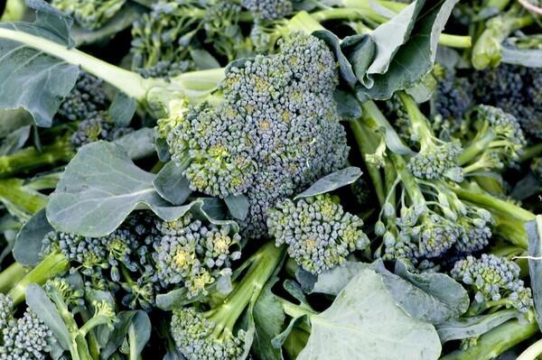 Baby broccoli