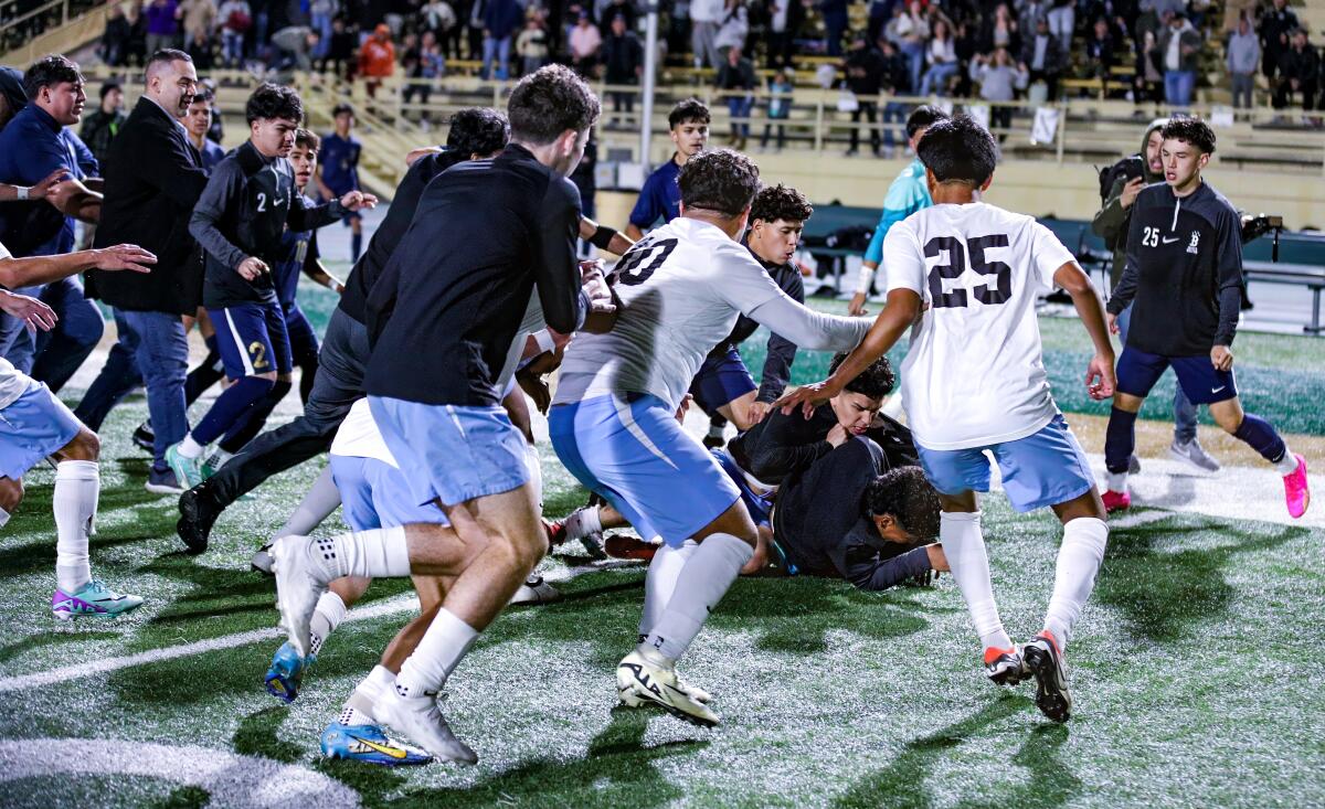 Bedlam erupted after Birmingham's 2-0 City Division I soccer win over El Camino Real, with players having to be separated.