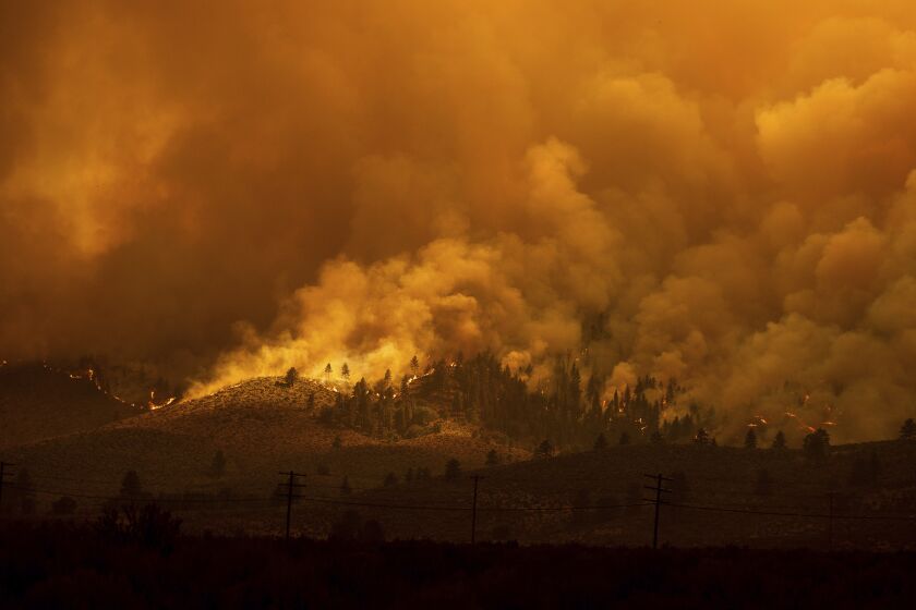 The Sugar Fire, part of the Beckwourth Complex Fire, burns in Doyle, Calif., on Saturday, July 10, 2021. (AP Photo/Noah Berger)