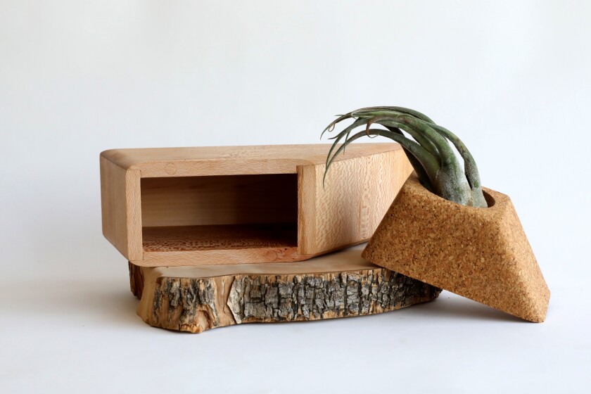 A triangular wooden container and its top that holds the succulent rest on a cross-section of a log