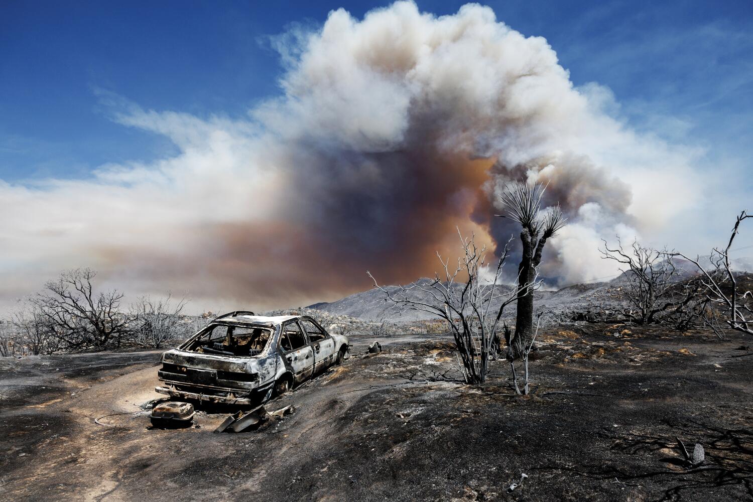 July was California's hottest month ever, as climate warmed to dangerous new extremes