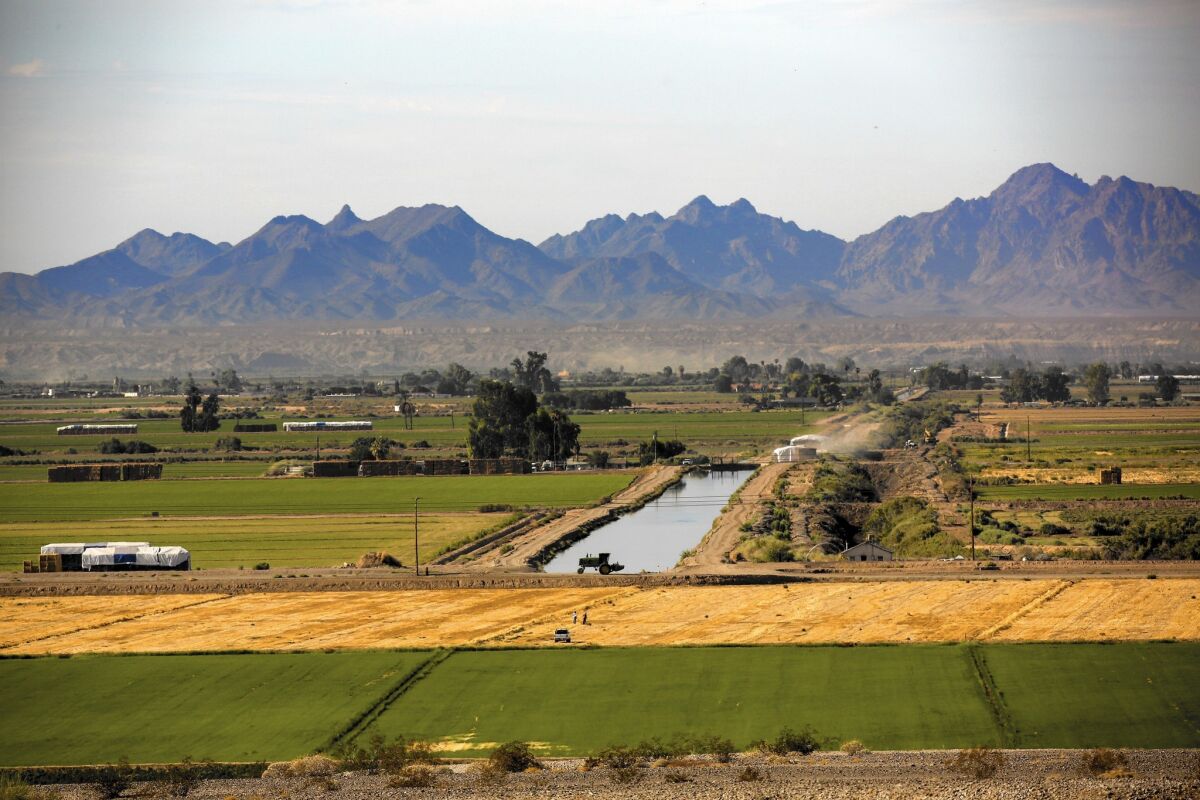 Farmers in California's Palo Verde Valley are paid to fallow a portion of their land in an agreement with the Metropolitan Water District that allows the agency to bolster supplies to its customers.