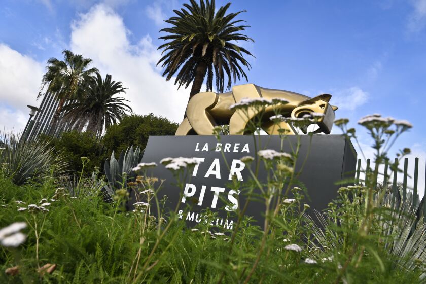 The pedestrian entrance to the La Brea Tar Pits & Museum.