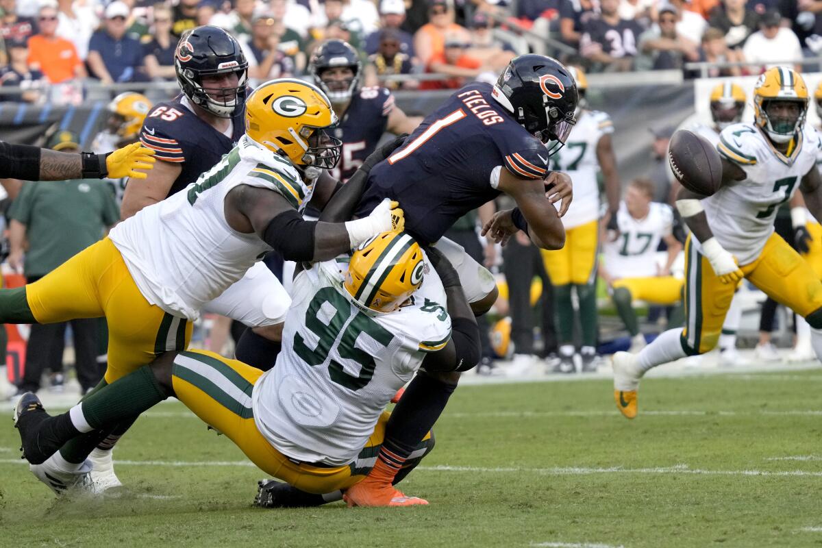 chicago bears packers