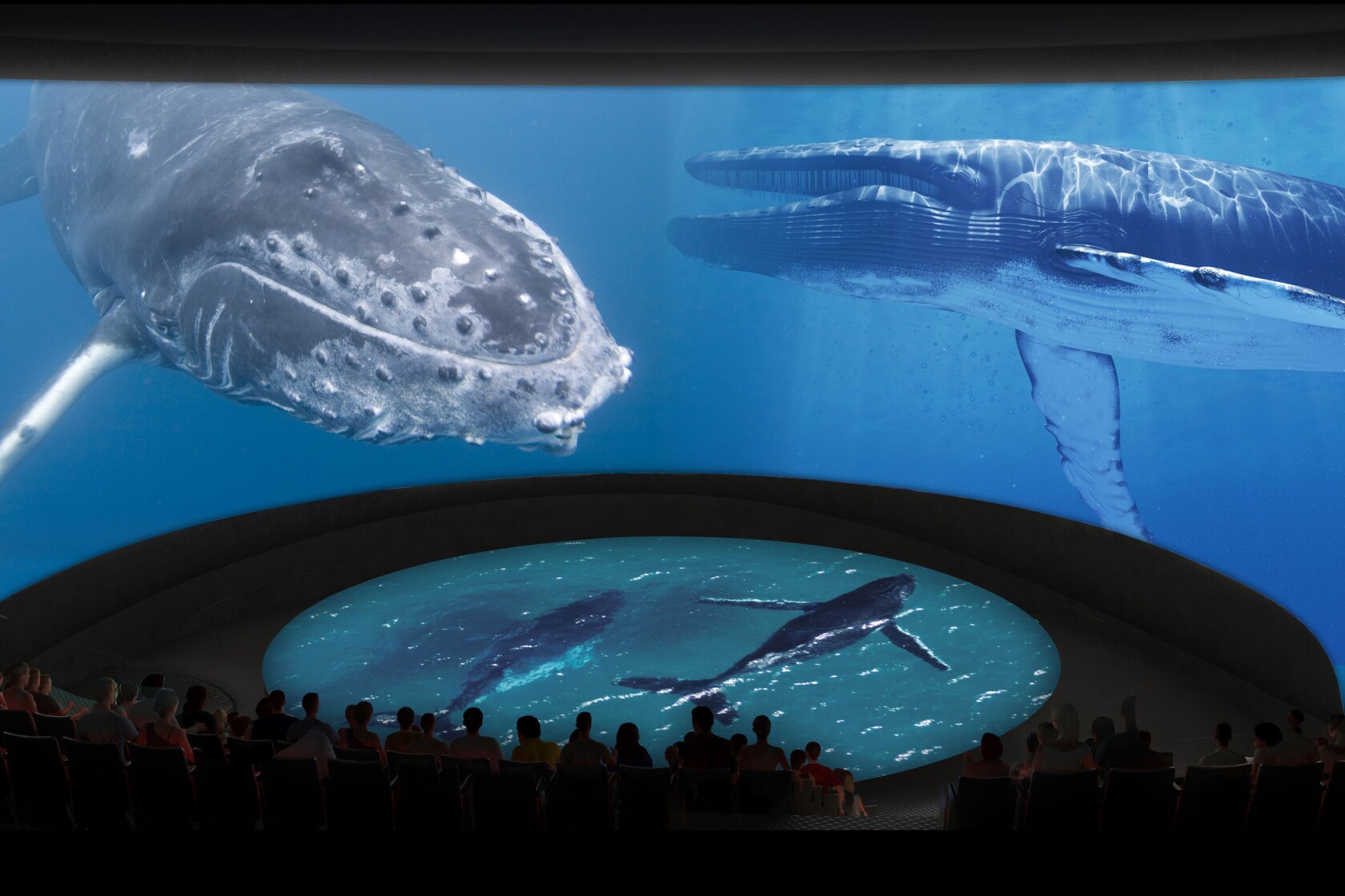 Long Beach aquarium plans new wing and 'immersive theater' by 2018 ... - ?url=https:%2F%2Fcalifornia Times Brightspot.s3.amazonaws