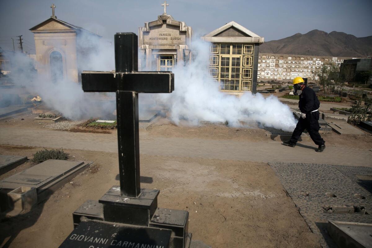 Un operario de Sanidad fumiga para evitar los virus del dengue, chikunguya y zika, en el cementerio de El Ángel, en Lima, Perú, el 20 de enero de 2016. Estados Unidos advierte a las mujeres embarazadas que eviten viajar a países latinoamericanos donde se han multiplicado los casos transmitidos por el mosquito, amenazando con deteriorar el turismo en la región, uno de sus pocos sectores boyantes en un momento de problemas económicos. (Foto AP/Martin Mejia)