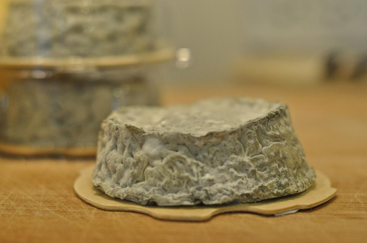 Discs of Galet de Tours, a soft-ripened goat cheese that is one of Rodolphe Le Meunier's specialties.