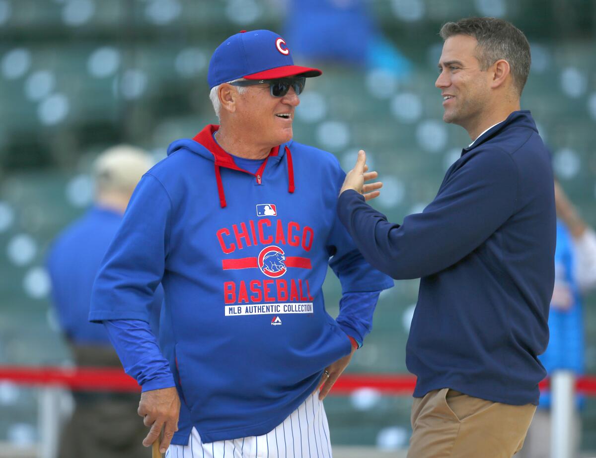 The Chicago Cubs were cleared of violating tampering rules when they pursued Manager Joe Maddon on Wednesday.
