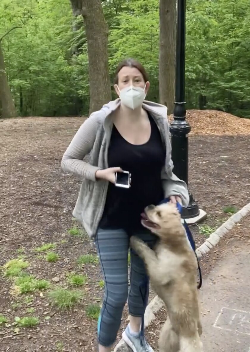 Amy Cooper is shown threatening to call the police on a black man in Central Park in New York. 