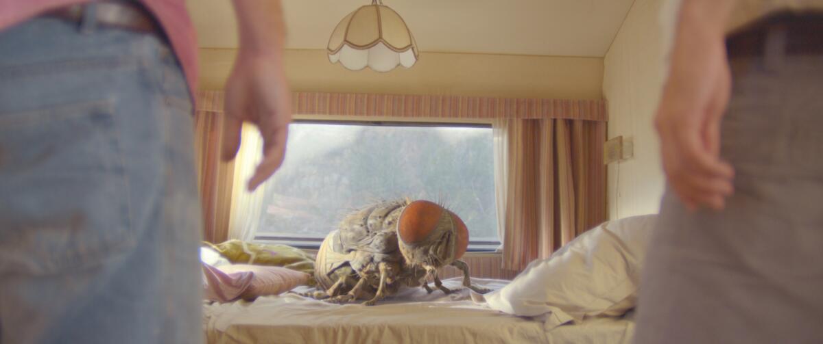 A really big bug sits on a bed in the movie "Mandibles.”