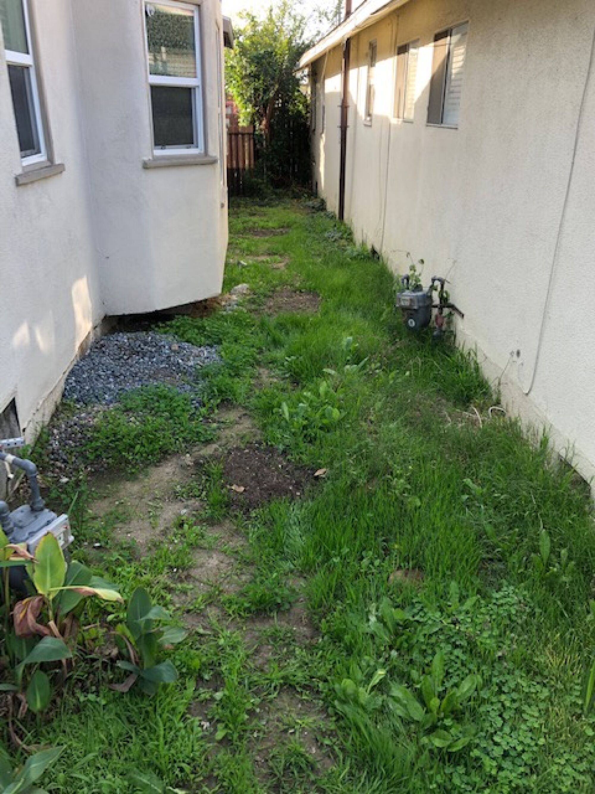 A slim side yard in between two homes 