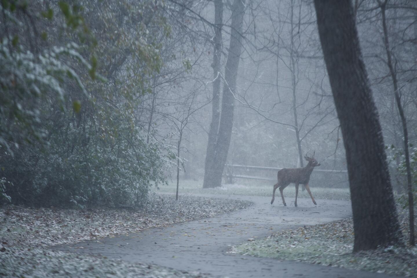 Wintry storm