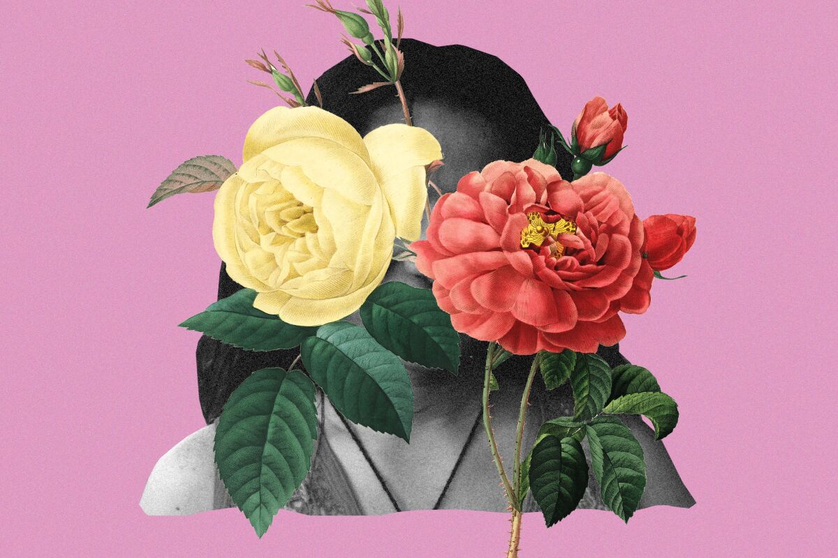 White rose and Duchess of Orleans Rose cover a woman's face