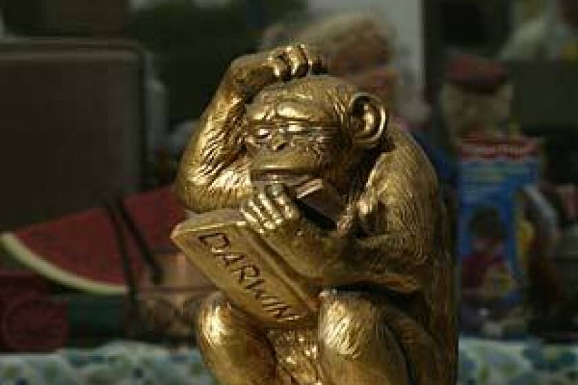 A monkey reading Darwin, at the Long Beach Outdoor Antique & Collectible Market.