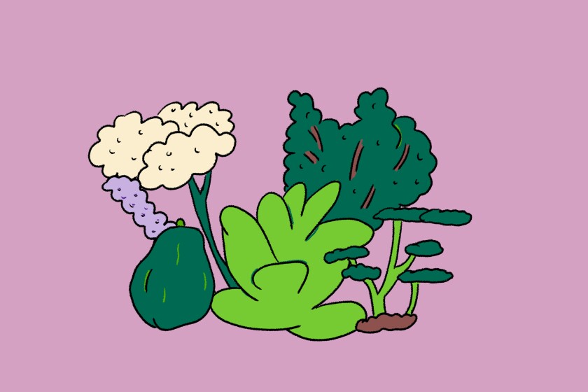 Blue sage, yarrow, mallow, tobacco, marjoram and a papaya