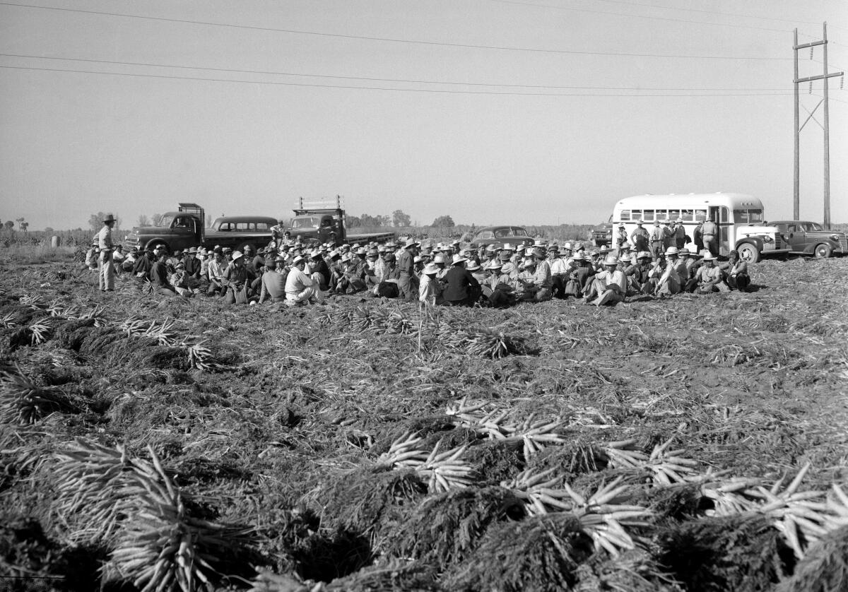 Agricultural workers of Mexican descent await deportation in 1950 in California.