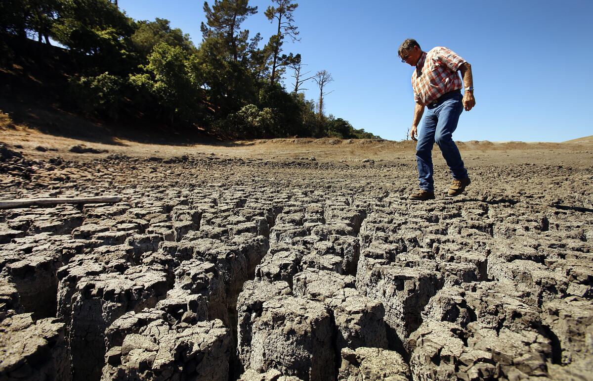 A rancher walks over a dried and cracked pond
