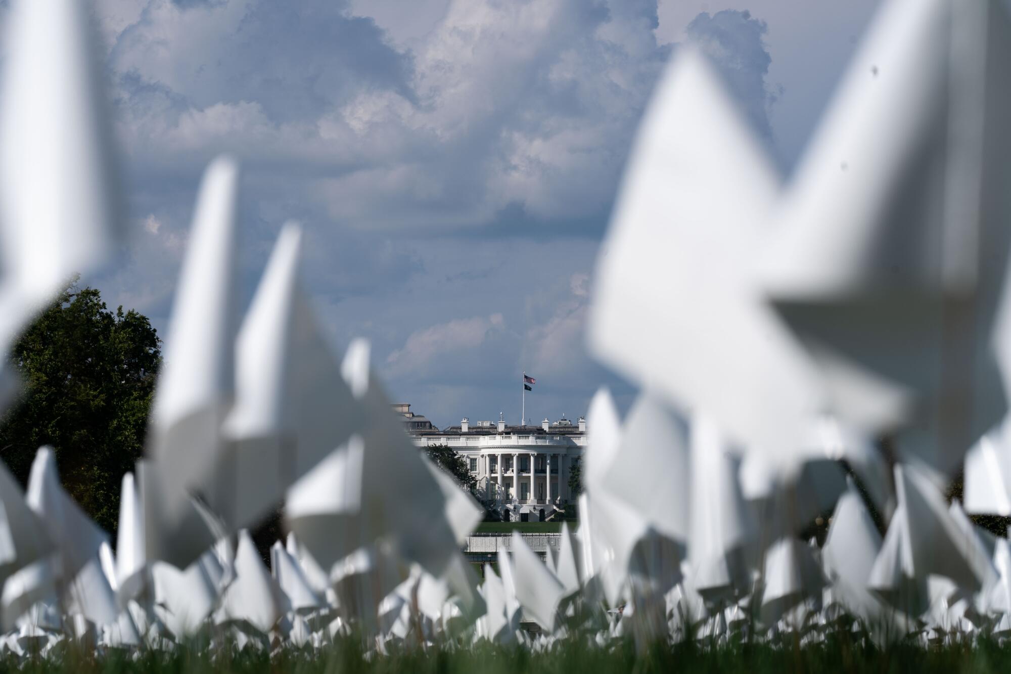Rows of small white flags, with the White House in the far background