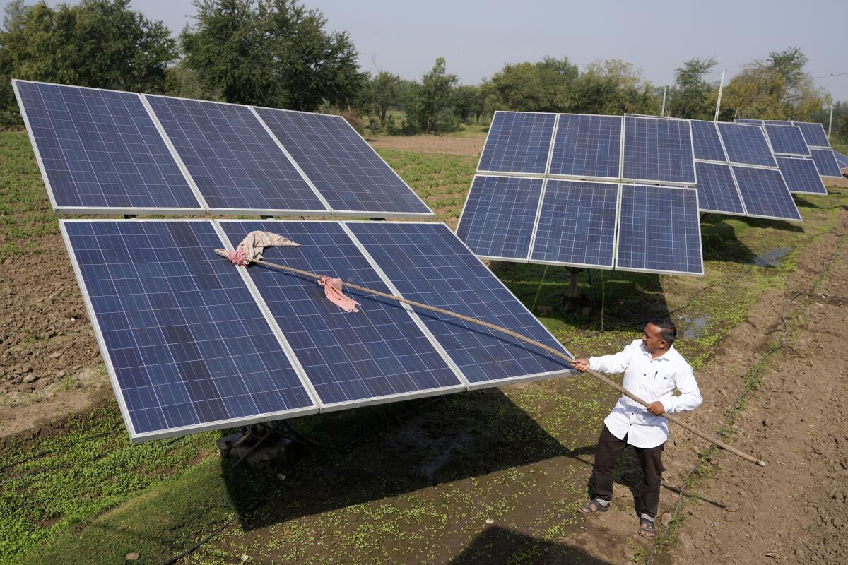 SunnySide: Una inteligente fiambrera con energía solar autocalentable -  Avatar Energía, blog de Energías Renovables