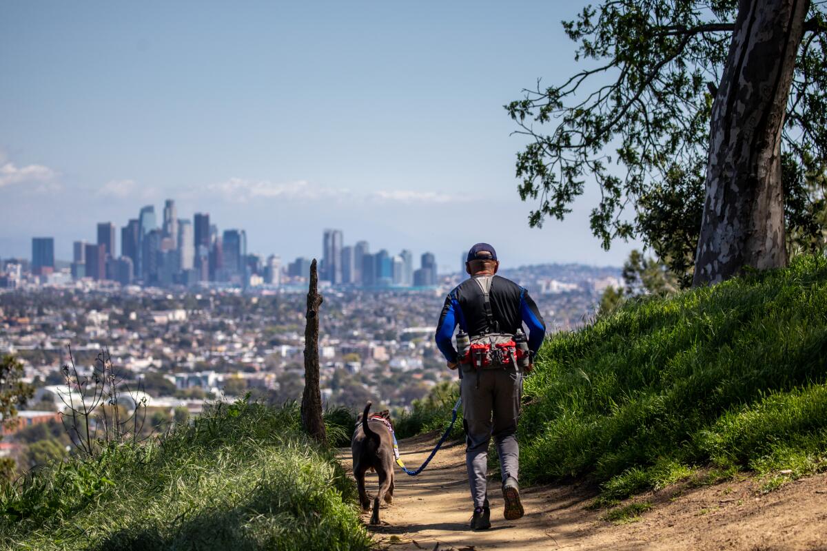 A man hikes with his dog on a trail in Kenneth Hahn State Recreation Area, with a view downtown