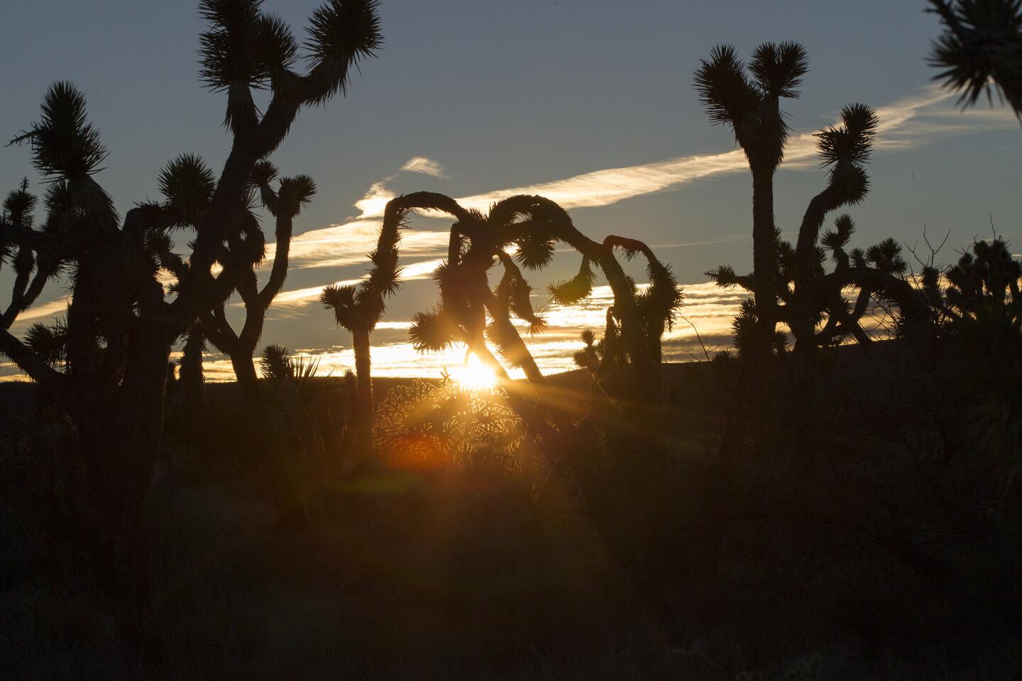 New national monument land