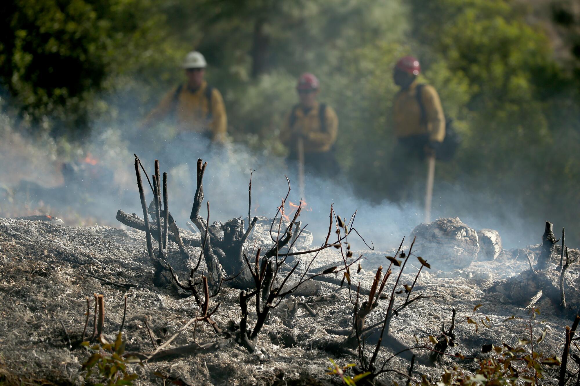 Firefighters stand behind the smoking remnants of a controlled burn.