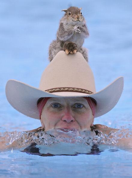 Swimming with a squirrel?