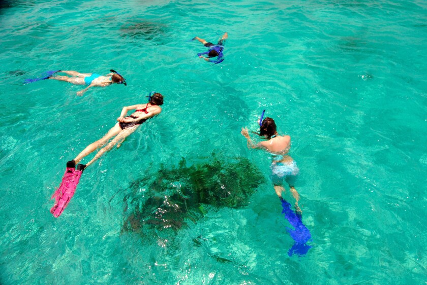 Four people are snorkeling in the water around Turneffe Atoll, which is part of the Mesoamerican Reef System. 
