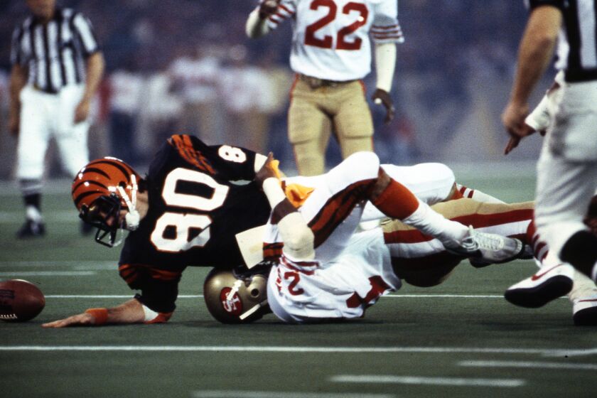 Cincinnati Bengals wide receiver Cris Collinsworth (80) fumbles the ball during Super Bowl XVI Jan. 24, 1982, at the Pontiac Silverdome in Pontiac, Mich. The San Francisco 49ers defeated the Cincinnati Bengals 262. (Tony Tomsic via AP)