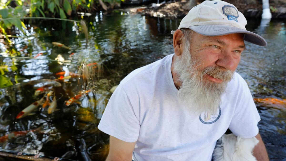 Jerry Myers runs a koi sanctuary at his ranch in Lakeside. Over the past three years, he has rescued and re-homed nearly 3,000 San Diego County koi.