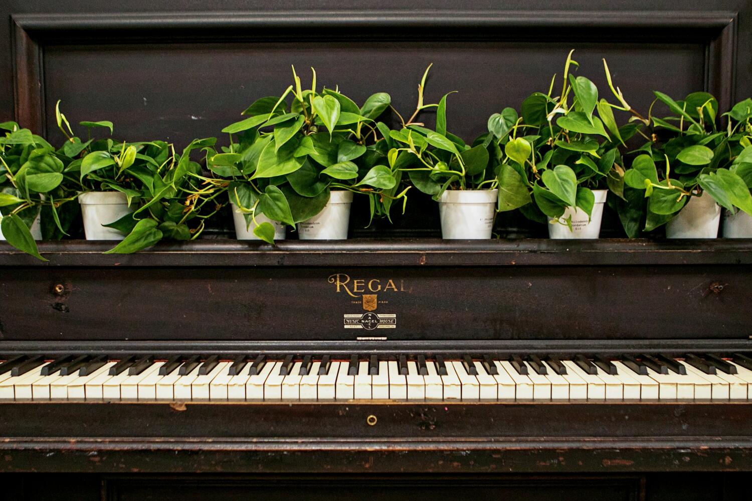 Opinion: Where have all the pianos gone? No one has time for them anymore 