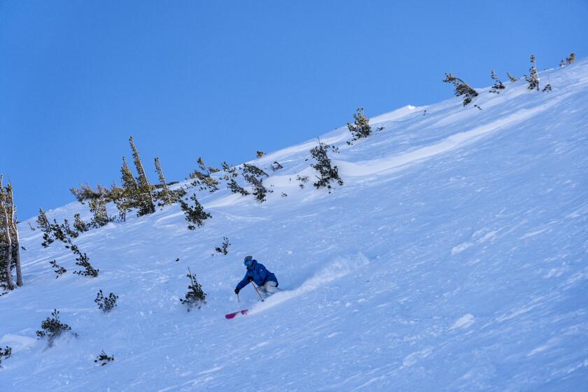 NÚI MAMMOTH, CALIFORNIA, NGÀY 15 THÁNG 1 NĂM 2026 -- Một vận động viên trượt tuyết đang chinh phục một trong những đường trượt dành cho chuyên gia ở đỉnh núi Lincoln thuộc khu trượt tuyết Mammoth Mountain vào ngày 15 tháng 1 năm 2026. Mammoth Mountain nằm trong dãy núi Sierra Nevada. Đỉnh núi Mammoth Mountain cao hơn 11.000 feet và có lượng tuyết rơi trung bình khoảng 400 inch mỗi năm. (Christian Pondella / Cho tờ The Times)
