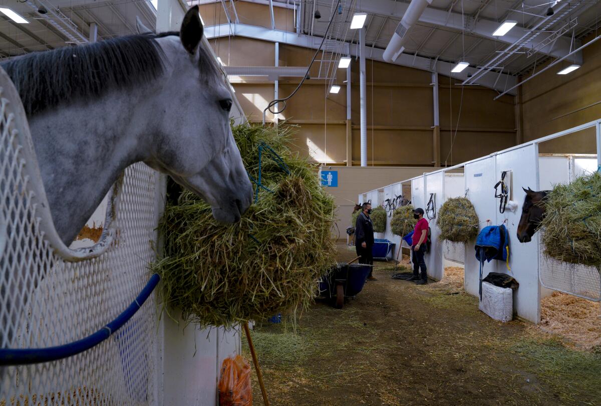 When Del Mar's racetrack is in session, Chaplain Eli Hernandez cares for the needs of workers.