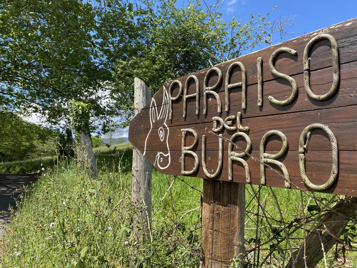 El Paraíso del Burro in Parres, Spain