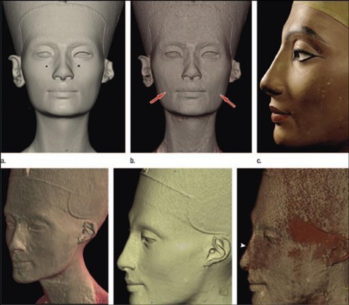 CT scan reveals hidden face under Nefertiti bust - The San Diego